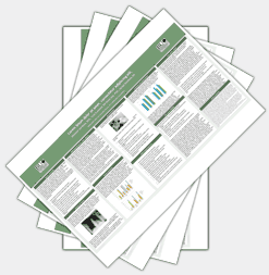 11x17 research poster handouts