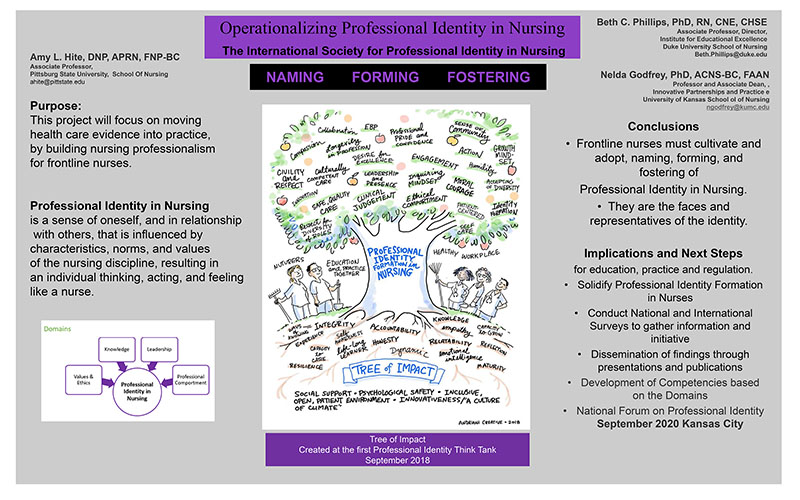 operationalization-of-professional-identity-in-nursing-the